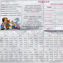 Как определить падежи русского языка: подробная таблица с вопросами
